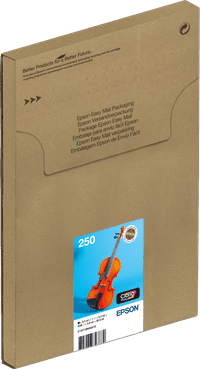Epson Multipack 6-colours 250 Inkt Easymail