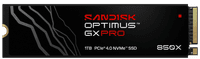 SANDISK Optimus GX PRO 850X 1TB Heatsink NVMe SSD