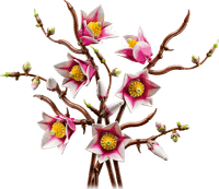 LEGO Botanicals Magnoliatakken 11510