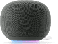 Google Home Speaker Grijs