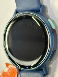 Garmin Vivoactive 5 Blue