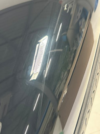 Miele Guard L1 Cat & Dog Obsidiaanzwart