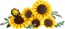 LEGO Botanicals Boeket met Zonnebloemen 11502 Top 10 best verkochte LEGO Botanicals sets