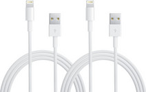 Apple Usb A naar Lightning Kabel 1m Kunststof Wit Duopack iPad oplaadkabel