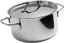 BK Profiline Cooking Pot 20cm Cookware for induction