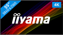 iiyama ProLite LE5540UHS-B1 4K public display