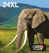 Epson 24XL Cartridges Combo Pack
