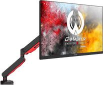 iiyama DSG3001C-R1