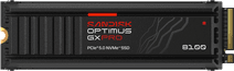 SANDISK Optimus GX PRO 8100 2TB Heatsink PCIe 5.0 NVMe SSD SANDISK Optimus GX Pro interne SSD