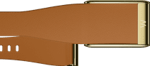 WHOOP 5.0 LeatherLuxe Tapered Band Bruin/Goud S/M Horlogebandje kopen?