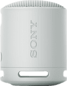 Sony SRS-XB100 Gray mini Bluetooth speaker