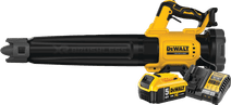 DeWalt 18V XR Axiale 5,0 Ah Accu Starterspakket Bladblazer met hoge blaaskracht