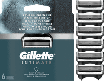 Gillette Intimate Navulmesjes (6 stuks) 