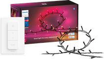 Philips Hue Festavia Lichtsnoer - 40 meter - 500 LEDs + Philips Hue Dimmer Smart lamp