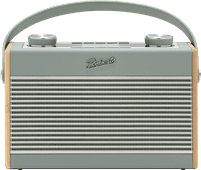 Rambler Max Groen Wifi radio