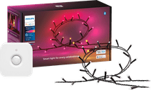 Philips Hue Festavia lichtsnoer - 20 meter + Bewegingssensor Zwarte Philips Hue lamp