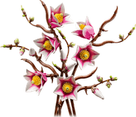 LEGO Botanicals Magnoliatakken 11510 Top 10 best verkochte LEGO Botanicals sets