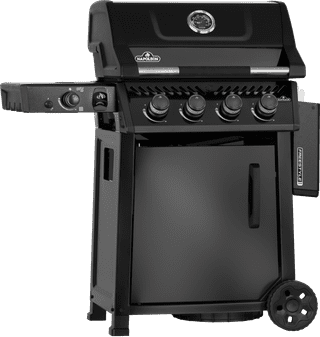 Napoleon Freestyle PRO 425 DSIB