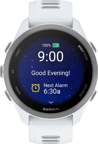 Garmin Forerunner 170 43 mm Wit