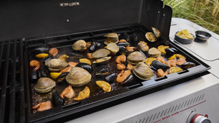 Weber Genesis E-415W