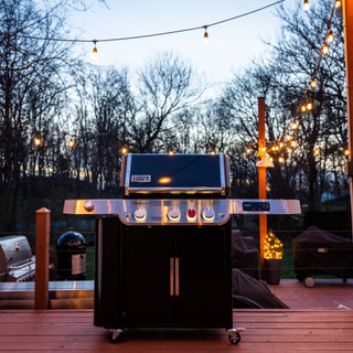 Weber Genesis EPX-335 Zwart