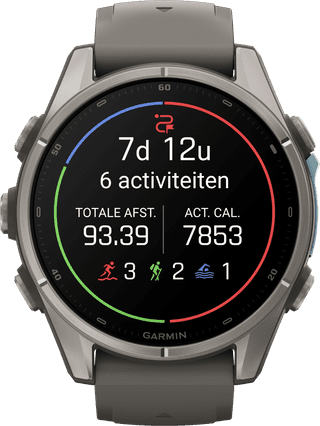 Garmin Fenix 9 Grijs 43mm
