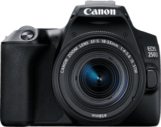 Canon EOS 250D + 18-55 f/4-5.6 IS STM