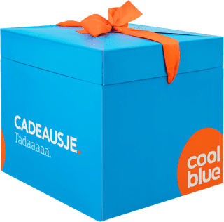 Cadeausje normaal  (270x270x250)