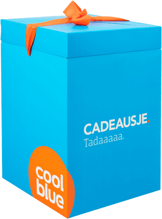 Cadeausje groot (260x260x370)