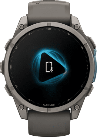 Garmin Fenix 9 Grijs 47mm