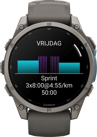 Garmin Fenix 9 Grijs 47mm