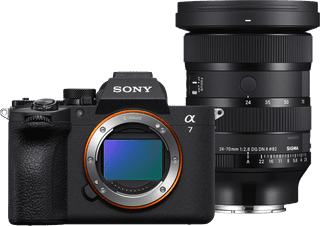 Sony A7 V + Sigma 24-70mm f/2.8 DG DN II Art