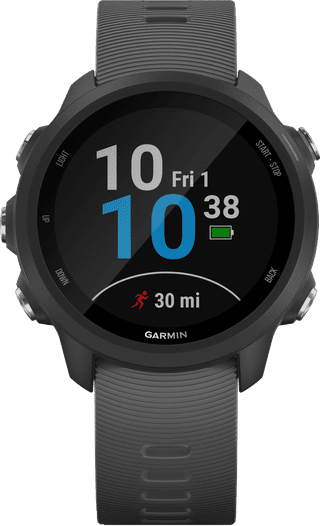 Garmin Forerunner 245 Grijs