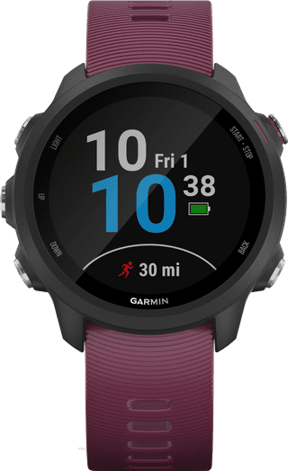Garmin Forerunner 245 Donkerrood