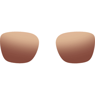 Rokid Photochromic Lens Bruin