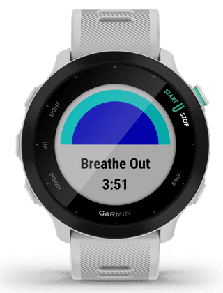 Garmin Forerunner 55 Wit