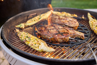 Weber Performer