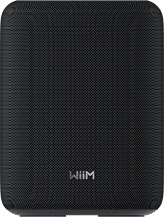 WiiM Sound Lite Zwart