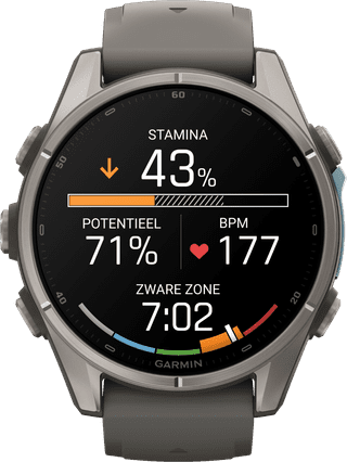 Garmin Fenix 9 Grijs 43mm