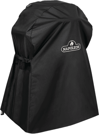 Napoleon TravelQ PRO285E Starterspakket
