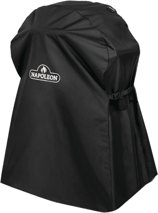 Napoleon TravelQ PRO285E Starterspakket