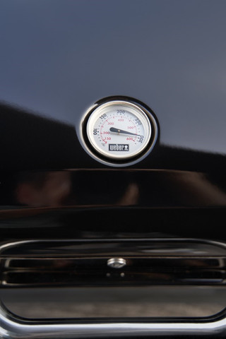 Weber Lumin Zwart met Onderstel