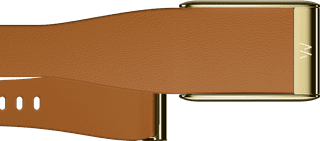WHOOP 5.0 LeatherLuxe Tapered Band Bruin/Goud S/M