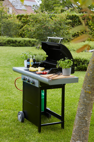 Barbecook Spring 3002