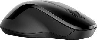 HP 250 Dual Draadloze Muis