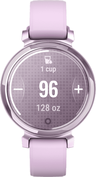 Garmin Lily 2 Paars