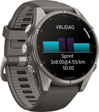 Garmin Fenix 9 Grijs 43mm