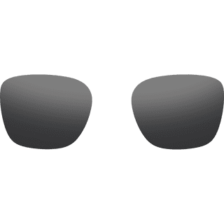 Rokid Photochromic Lens Grijs