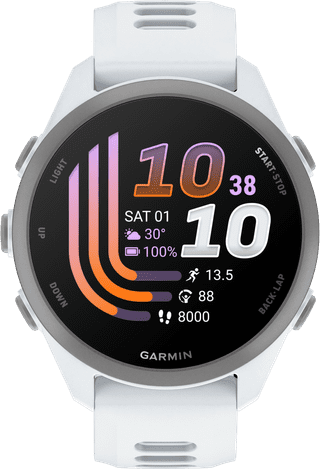 Garmin Forerunner 170 43 mm Wit