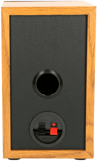Lenco LS-300WD